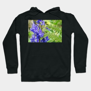 Bluebells in the Ferns Hoodie